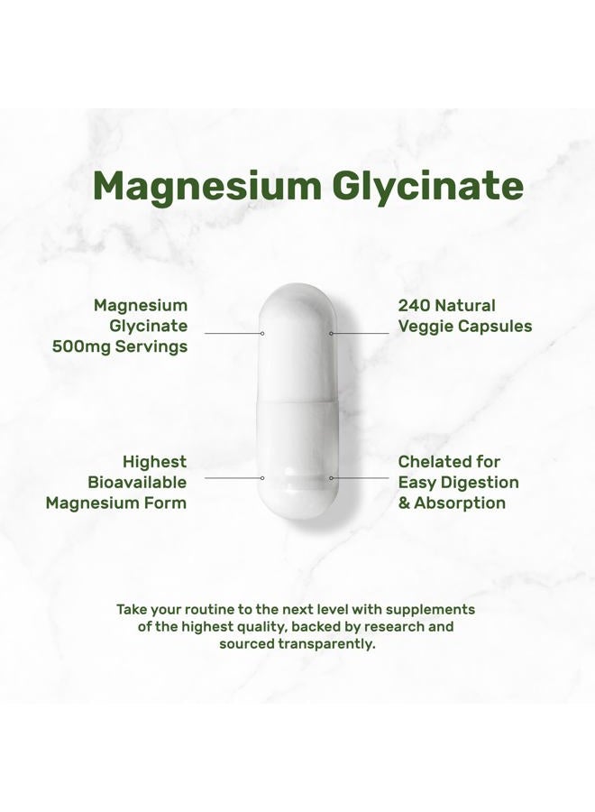 DEAL SUPPLEMENT مغنيسيوم جليسينات 500 ملغ، 240 كبسولة نباتية | مخلب لسهولة الامتصاص | معدن أساسي نقي للغاية لصحة العضلات والمفاصل والقلب والهضم - Image 3