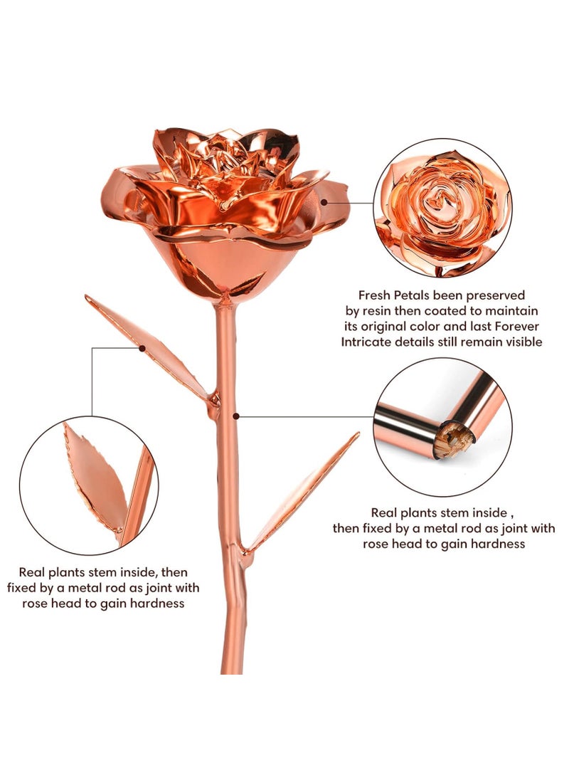 Anthonic Anthonic Gold Dipped Infinity Rose Last Forever Flower Decor  Birthday Gift for Women in Her Birthday Valentines Day Mothers Day  Resin Preserved Rose | Anniversary Present for Mom (Rose Gold)  - Image 2
