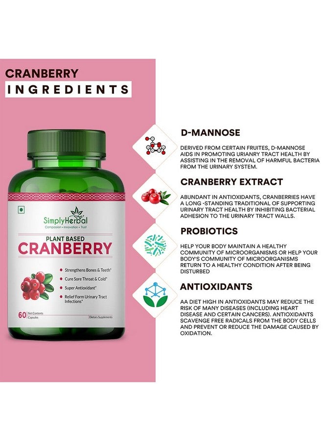 Simply Herbal كبسولات د مانوز التوت البري العشبية ببساطة 800 ملغ مع بروبيوتيك قوي ومضادات الأكسدة تعزز صحة المسالك البولية، والعظام والأسنان القوية للنساء والرجال (60 كبسولة) - Image 2