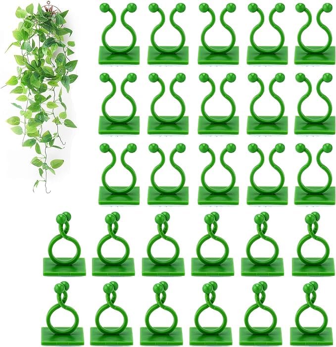 TASMAX money plant holder plant support clips plant clips for climbers money plant clips for wall support climber support for plants climbing clips for plants hooks for wall creeper climb clip PACK 50 - Image 1