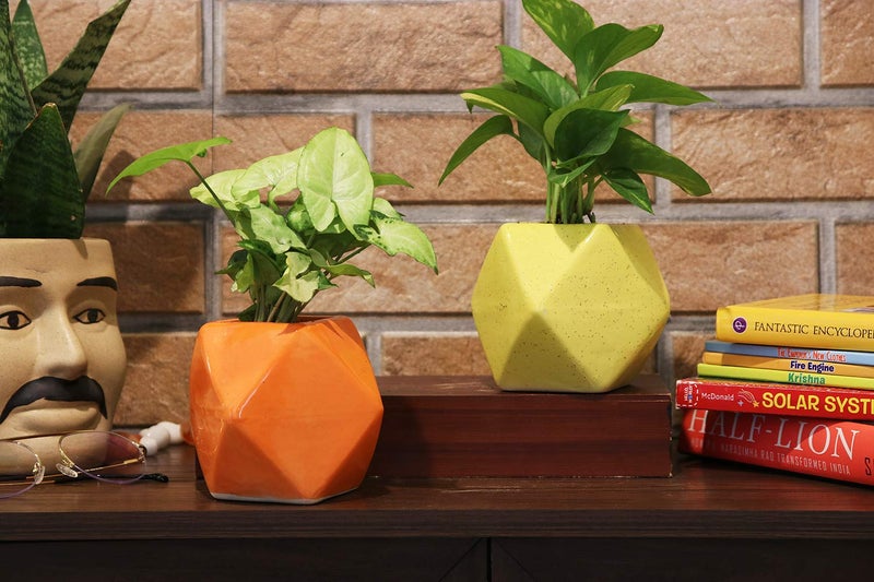 Leafy Tales Set of 2 - Polygon Shape Ceramic Pot, Pot only, | Multicolor, Polygon - 2 (Polygon - 2) - Image 5