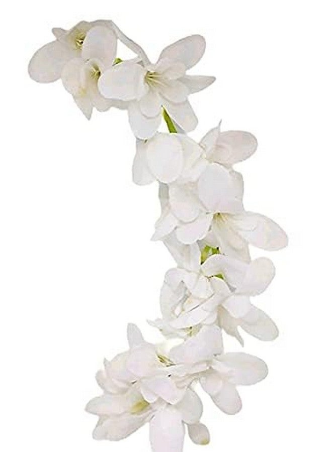 BengCraft White Orchid Gajra for Juda Bun | Artificial Floral Hair Accessories for Women & Girls | Elegant Bun Decoration for Weddings & Festive Looks - Image 3
