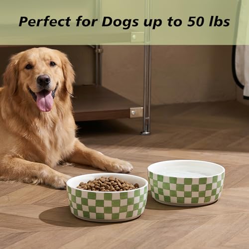 Howise 6.4 inch Ceramic Hand Painted Basic Dog Bowl Set of 2 with Anti-Skid Rubber Base, Food and Water Bowls for Small Pets Green - Image 5