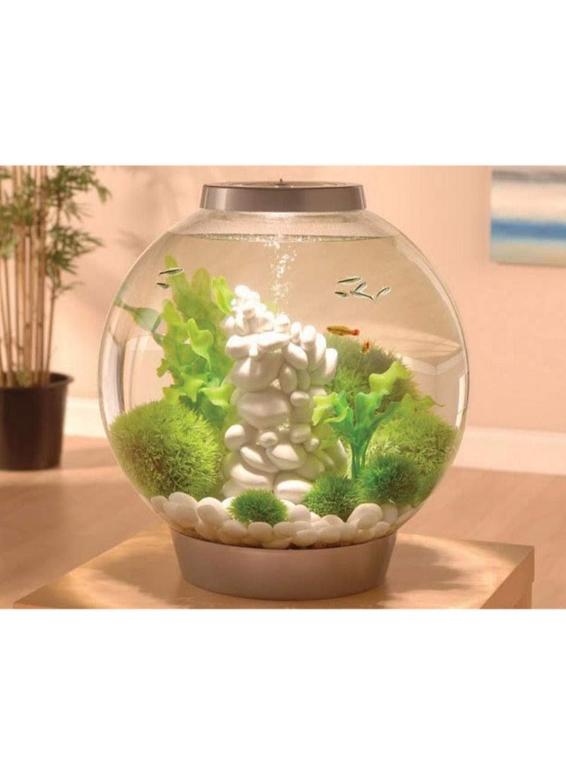 Generic - Decorative Stone Pebble Natural Decorative Polished White Pebbles Decorative River Rock Stones Succulent Rocks 1kg - Image 1