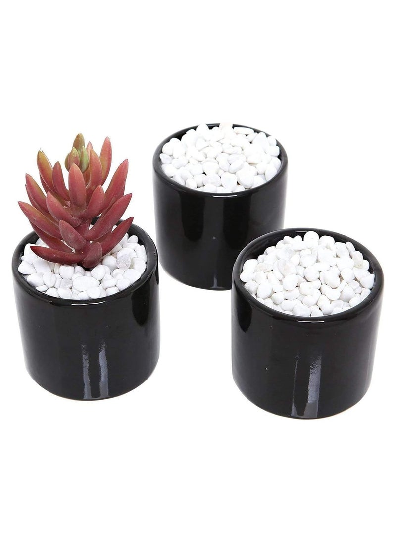 Generic - Decorative Stone Pebble Natural Decorative Polished White Pebbles Decorative River Rock Stones Succulent Rocks 1kg - Image 1