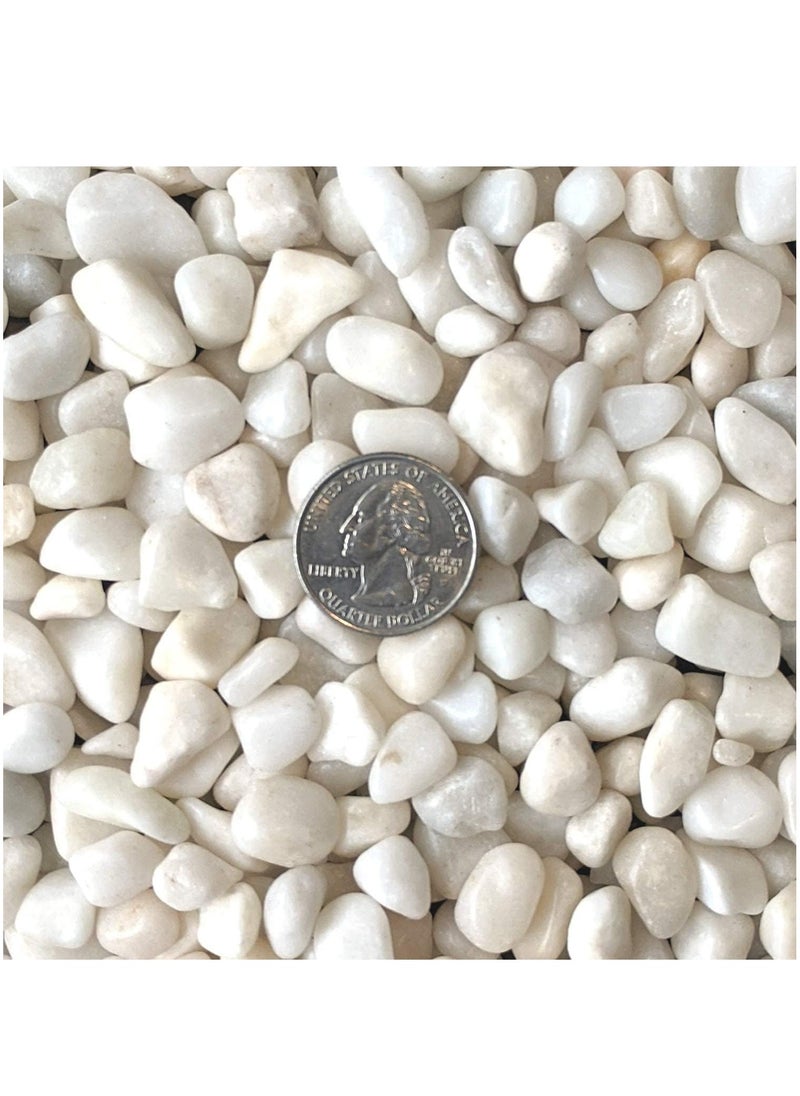 Generic - Decorative Stone Pebble Natural Decorative Polished White Pebbles Decorative River Rock Stones Succulent Rocks 1kg - Image 1