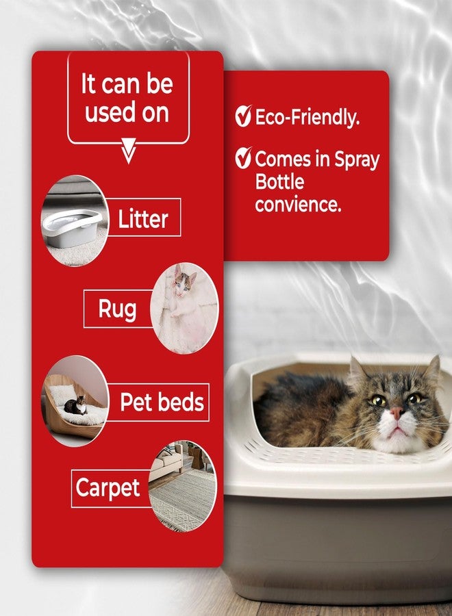 Simple Solution Cat Litter Deodorizer 500ml | Powerful Odor Neutralizer for Cat Litter Boxes | Eliminates Strong Smells & Keeps Litter Fresh Longer | Safe for Multi-Cat Households - Image 4