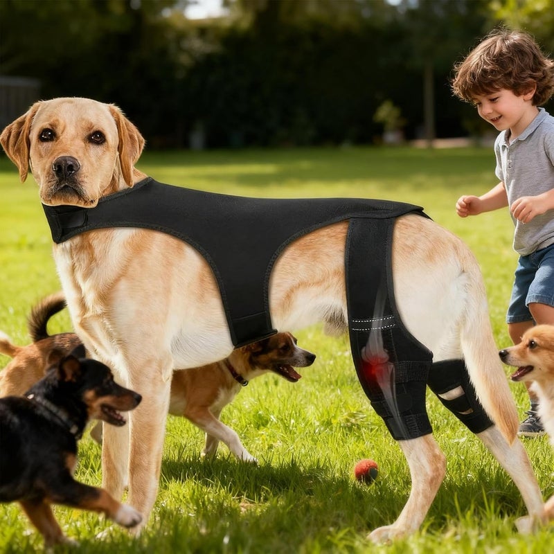 Knee Brace for Dogs,Adjustable Knee Sleeve | Dog Back Leg Brace with 4 Metal Stabilizers | for Hiking Exercise Outdoor Activities Park Beach Travel Home - Image 2