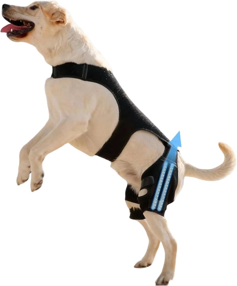 Knee Brace for Dogs,Adjustable Knee Sleeve | Dog Back Leg Brace with 4 Metal Stabilizers | for Hiking Exercise Outdoor Activities Park Beach Travel Home - Image 1