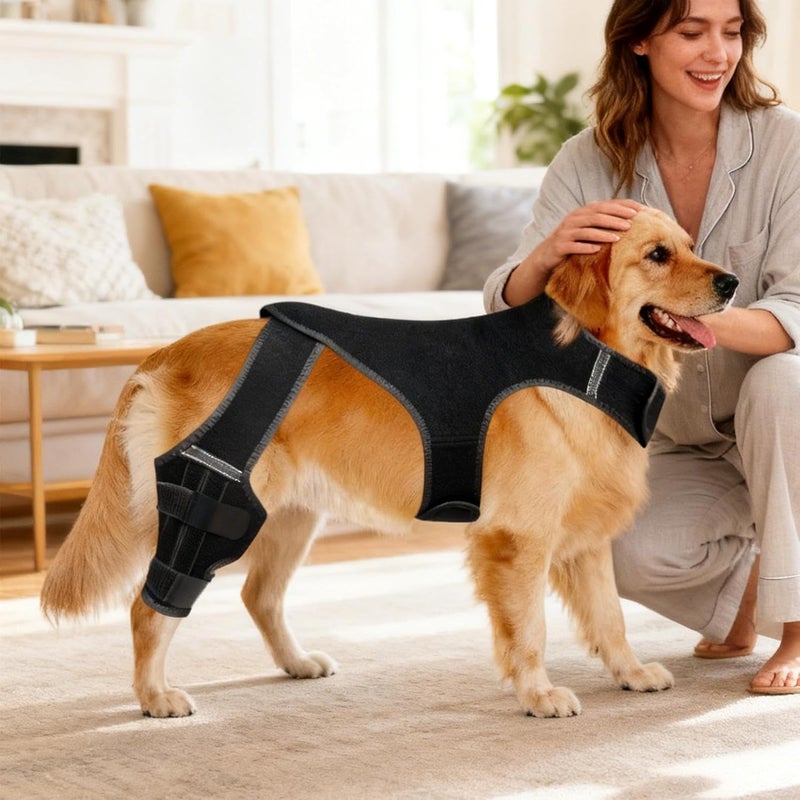 Knee Brace for Dogs,Adjustable Knee Sleeve | Dog Back Leg Brace with 4 Metal Stabilizers | for Hiking Exercise Outdoor Activities Park Beach Travel Home - Image 3