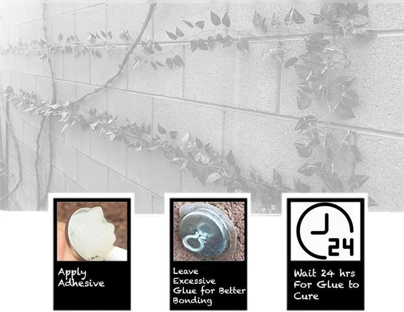 Trellis Anchors 50 قطعة من المراسي للعرائش، النباتات المتسلقة، شريط الإضاءة (50) - Image 4