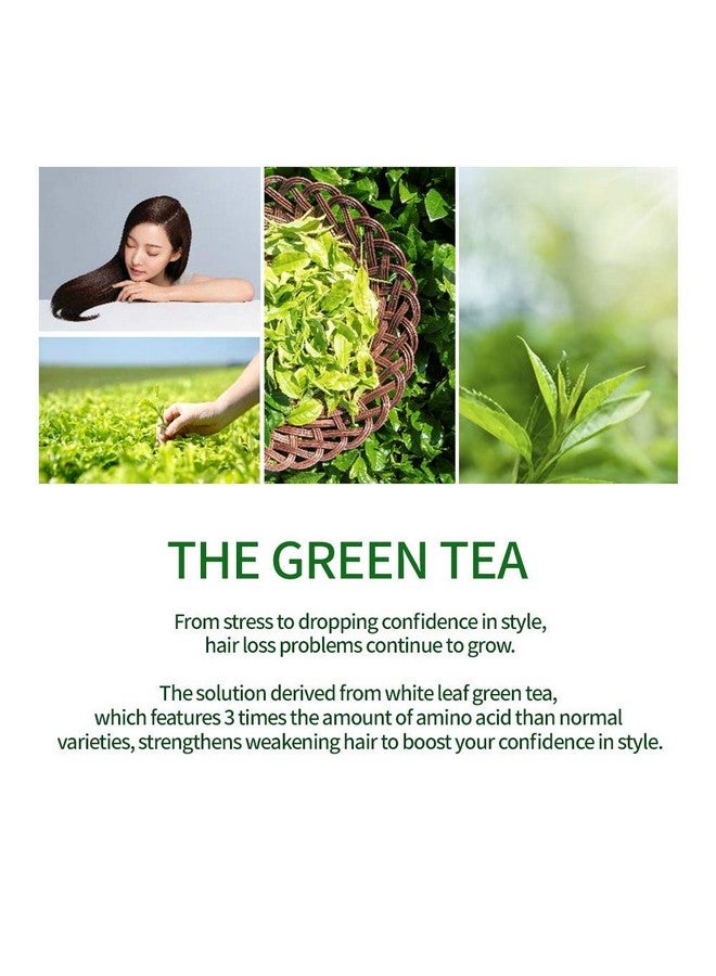 أموس بروفيشنال شامبو الشاي الأخضر من آموس بروفيشنال، 500 غرام - شامبو منعش لفروة الرأس الدهنية، مضاد للتساقط وتساقط الشعر، لنمو الشعر وتنظيف الدهون الزائدة، ماركة كورية لصالونات الشعر - Image 4