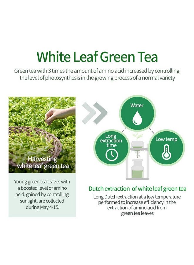 أموس بروفيشنال شامبو الشاي الأخضر من آموس بروفيشنال، 500 غرام - شامبو منعش لفروة الرأس الدهنية، مضاد للتساقط وتساقط الشعر، لنمو الشعر وتنظيف الدهون الزائدة، ماركة كورية لصالونات الشعر - Image 5