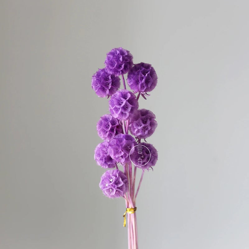 Bluejw Dried Arrangement Windmill Fruit Flowers - Preserved Plants for Mother's Day, Valentine's, Graduation, Christmas, CNY, Easter Decor - Image 1