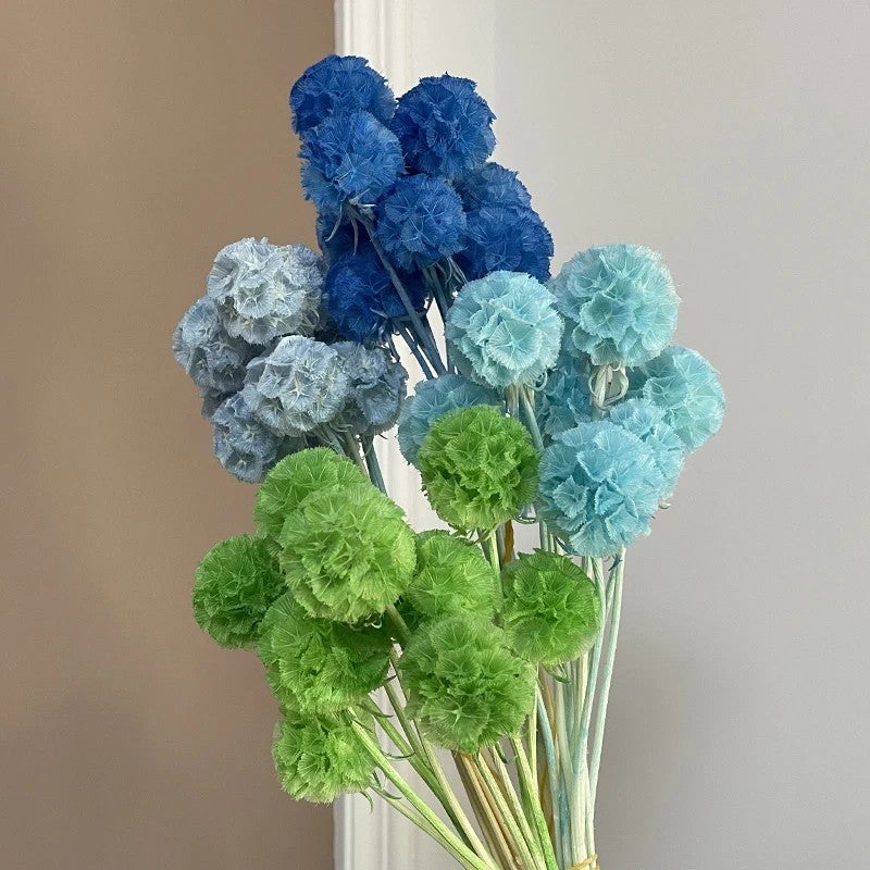 Bluejw Dried Arrangement Windmill Fruit Flowers - Preserved Plants for Mother's Day, Valentine's, Graduation, Christmas, CNY, Easter Decor - Image 3