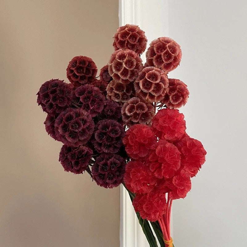 Bluejw Dried Arrangement Windmill Fruit Flowers - Preserved Plants for Mother's Day, Valentine's, Graduation, Christmas, CNY, Easter Decor - Image 5