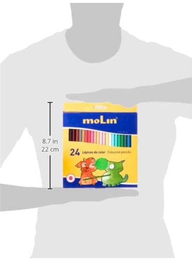 Molin Long Wooden Color Pencils - 24 Pencils - Image 2