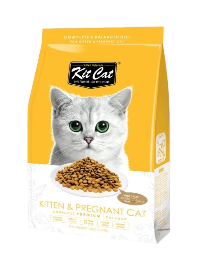 Kit Cat Cat Food Dry For Kitten & Pregnant Cats Chicken Flavor - 1.2kg -  Cat Dry Food Complete Nutrition with Taurine And Vitamins -  Growth, Immunity & Bone Health - High-Quality Dry Food for Kitten & Pregnant Cats 