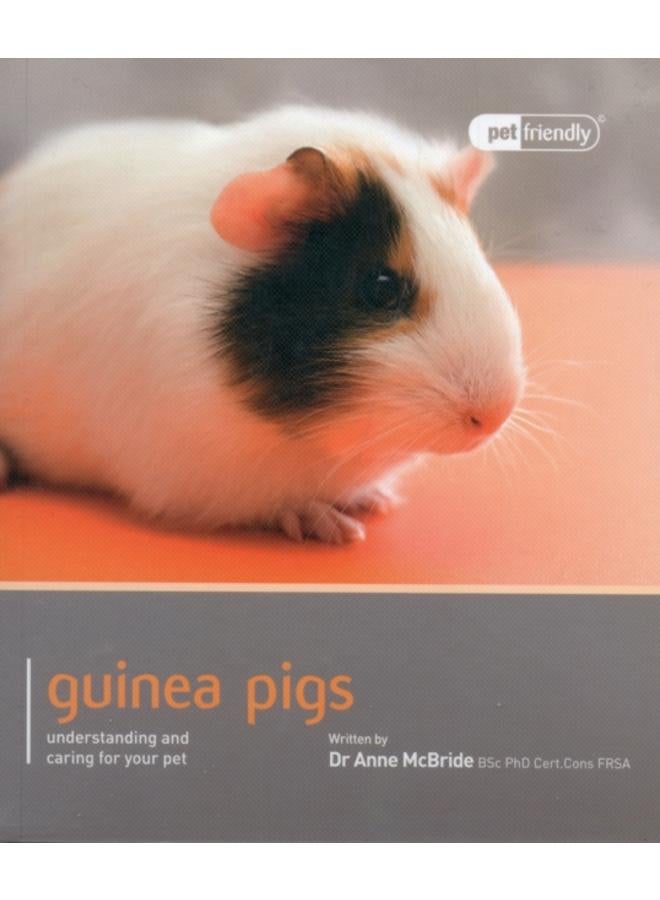 خنزير غينيا - صديق للحيوانات الأليفة