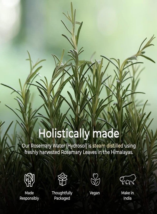 Blend It Raw Apothecary هيدروسول إكليل الجبل الخام من بليند إت للشعر والبشرة، ماء إكليل الجبل المقطر بالبخار، عبوة كبيرة سعة 1000 مل - Image 2
