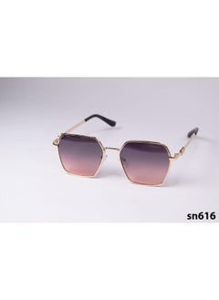 collction suglasses inspired by Ferragamo