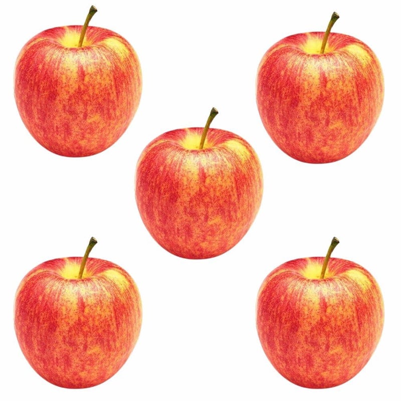 SINGAA فاكهة صناعية للمنزل، السيارة، محل الفواكه، ديكور التصوير ومواد تعليم الأطفال∣ تفاح∣ برتقال∣ عنب∣ رمان∣ مانجو∣ موز (عبوة من 5) (تفاح) - Image 1