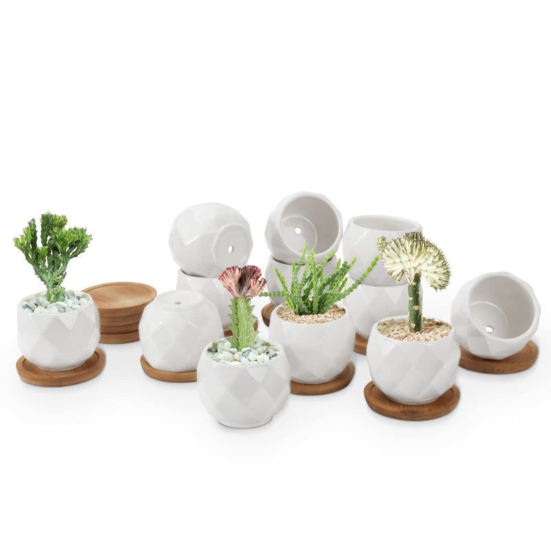 ZOUTOG Succulent Plant Pot 12 Pack 25 inch Square Pattern Ceramic Planters with Bamboo Tray Small Succulent Pots Indoor White Office Desk Decor Seeds Plants Not Included