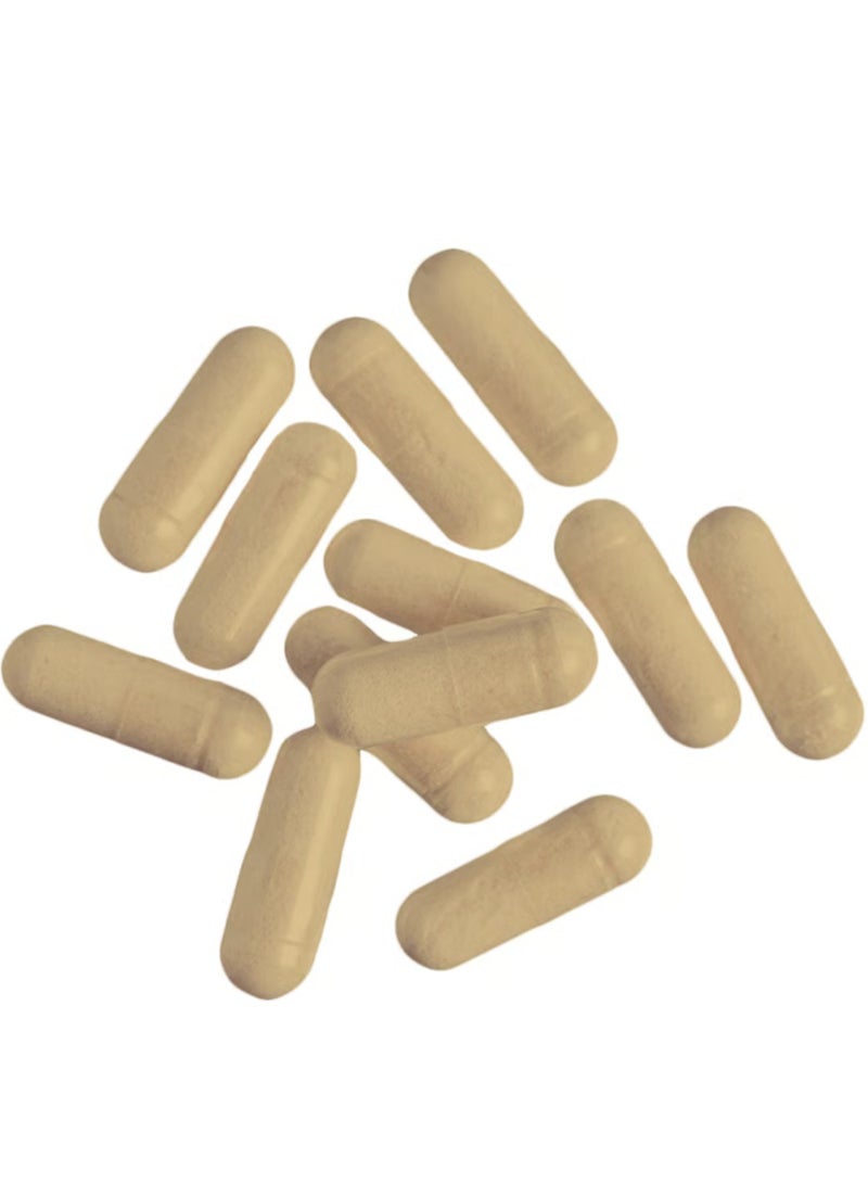 Nutrend Compress Fever Plus – 120 Capsules Fat-Burning Blend | 14 Natural Actives, 105 mg Caffeine - Image 4