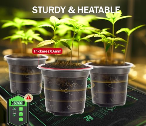 WandaQueen 30 Packs Clear Nursery Pots for Plants, 3.5/4/5 Inch High Transparency Plastic Seedling Plant Pot with Drainage Holes, Includes 20 Labels - Image 2