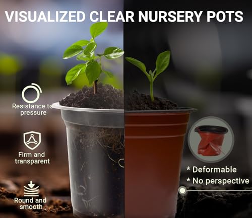 WandaQueen 30 Packs Clear Nursery Pots for Plants, 3.5/4/5 Inch High Transparency Plastic Seedling Plant Pot with Drainage Holes, Includes 20 Labels - Image 3