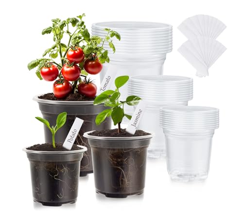 WandaQueen 30 Packs Clear Nursery Pots for Plants, 3.5/4/5 Inch High Transparency Plastic Seedling Plant Pot with Drainage Holes, Includes 20 Labels - Image 1