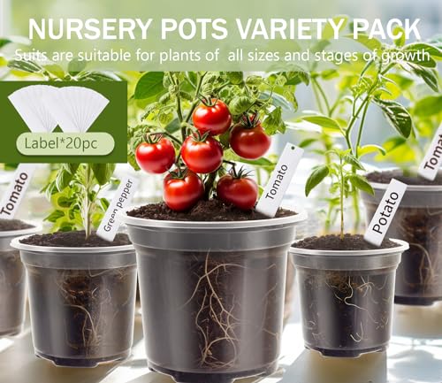 WandaQueen 30 Packs Clear Nursery Pots for Plants, 3.5/4/5 Inch High Transparency Plastic Seedling Plant Pot with Drainage Holes, Includes 20 Labels - Image 4