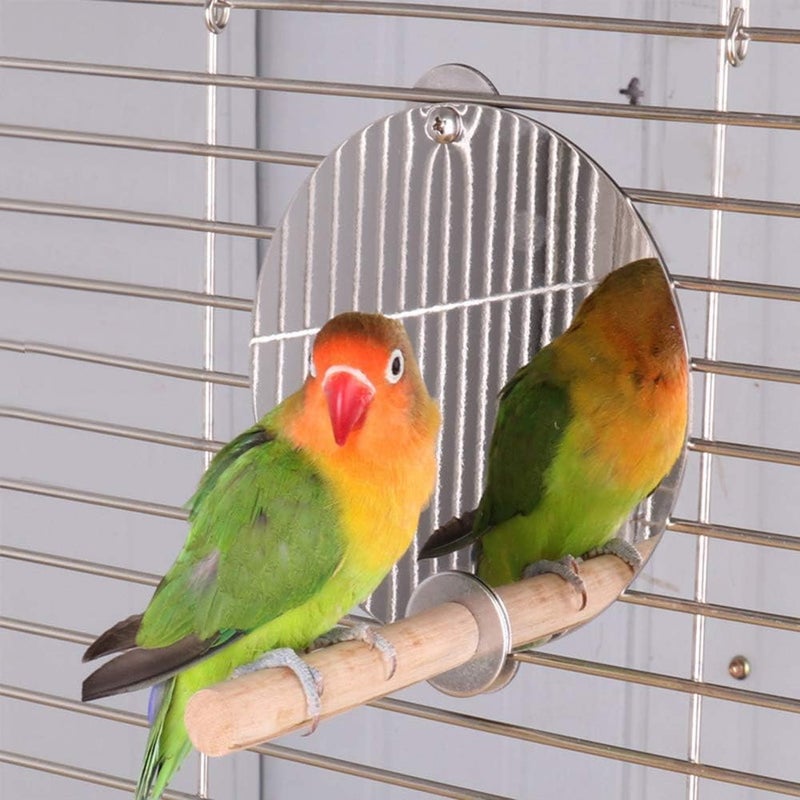 klarako Birdcage Toy Accessories Stainless Steel Parrots Mirror Perch, Bird Mirror Perch Cage Standing Rod, Multifunctional Bird Toy - Image 3