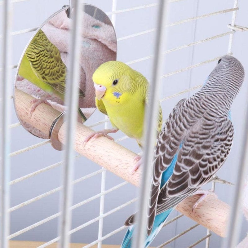 klarako Birdcage Toy Accessories Stainless Steel Parrots Mirror Perch, Bird Mirror Perch Cage Standing Rod, Multifunctional Bird Toy - Image 2