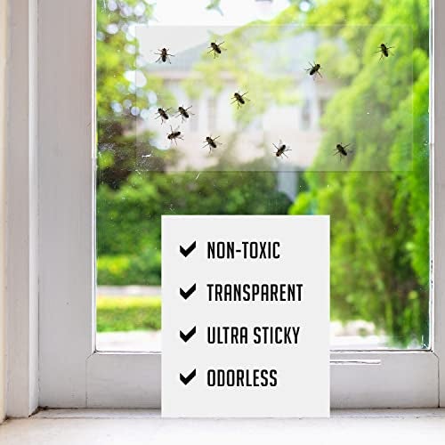TRAP A PEST Window Fly Traps Indoor Clear (30 Pack) - Fly Window Traps for Indoors Sticky, Indoor Fly Trap Non-Toxic Fly Strips for Windows - Fly Sticky Traps Indoor Fly Paper Indoor Bug Sticky Traps (8.25" x 5") - Image 2