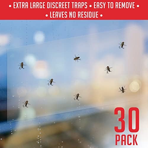 TRAP A PEST Window Fly Traps Indoor Clear (30 Pack) - Fly Window Traps for Indoors Sticky, Indoor Fly Trap Non-Toxic Fly Strips for Windows - Fly Sticky Traps Indoor Fly Paper Indoor Bug Sticky Traps (8.25" x 5") - Image 3