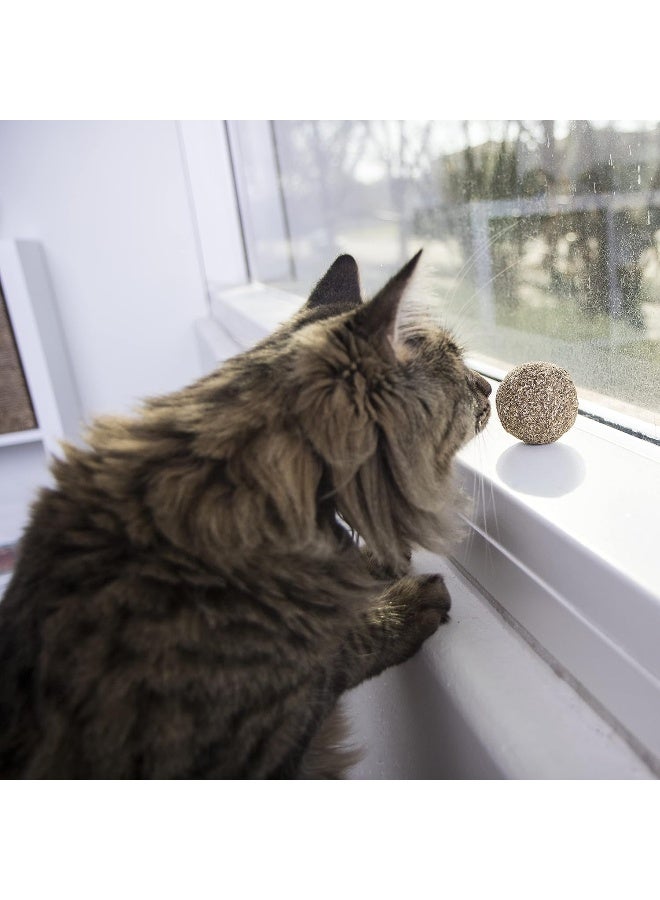 Smartykat Catnip Kiss Compressed Catnip Ball Toy - Natural, One Size - Image 4