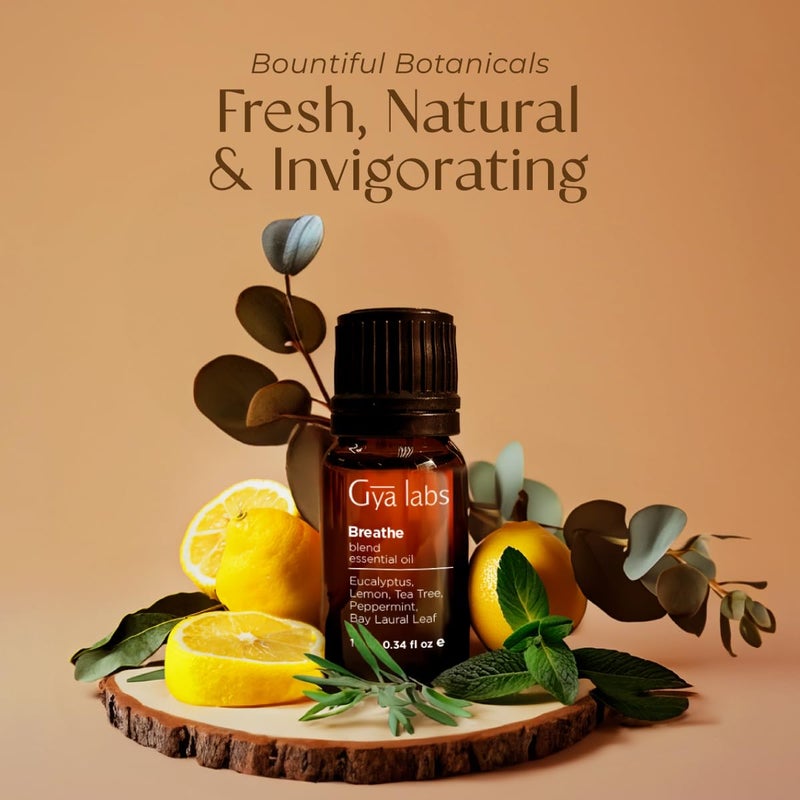 Gya Labs Breathe Essential Oil Blends - 100% Pure Natural Breathe Easy Essential Oils from Eucalyptus, Peppermint and More for Humidifier Cleaner (0.34 Fl Oz) - Image 3