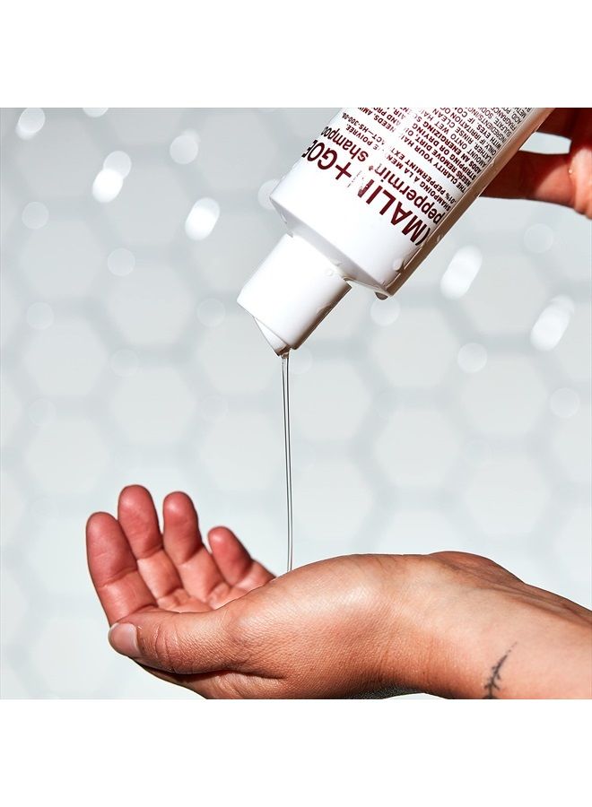 MALIN + GOETZ Shampoo, Peppermint, 16 Ounce - Image 3