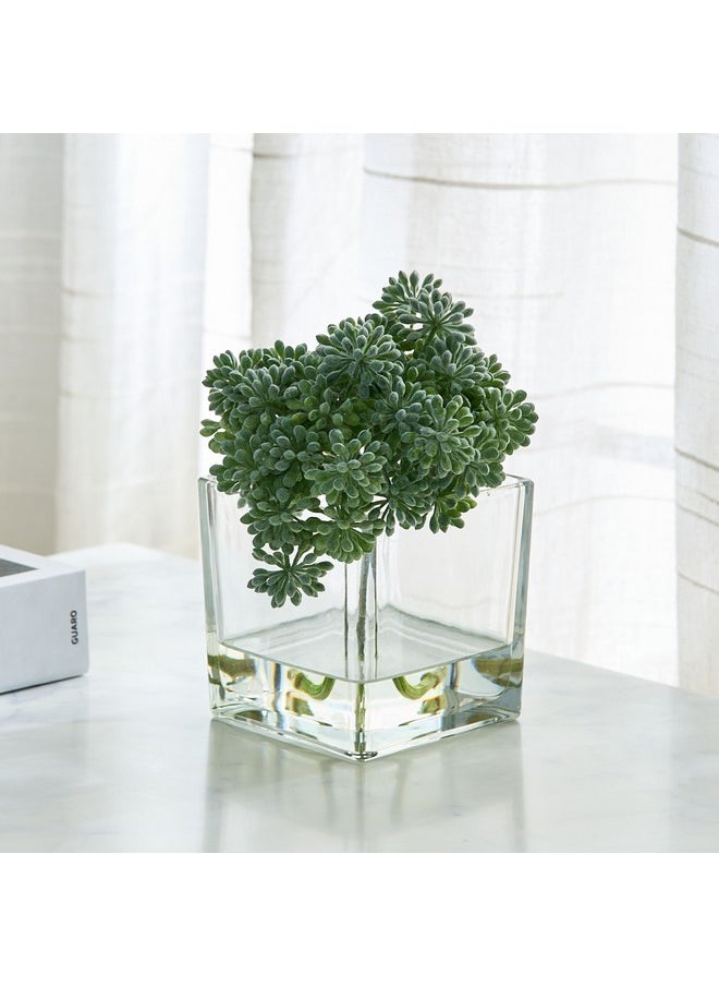 Home Box Liara Sedum Pick In Glass 16 X 16 X 17 Cm  - Image 1