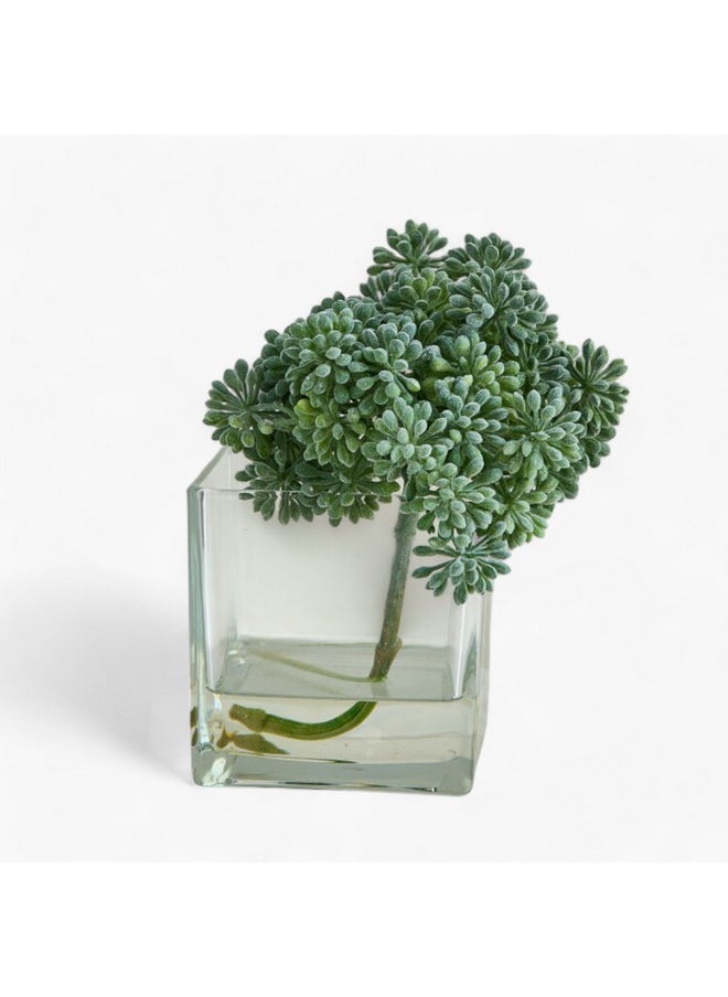 Home Box Liara Sedum Pick In Glass 16 X 16 X 17 Cm  - Image 5