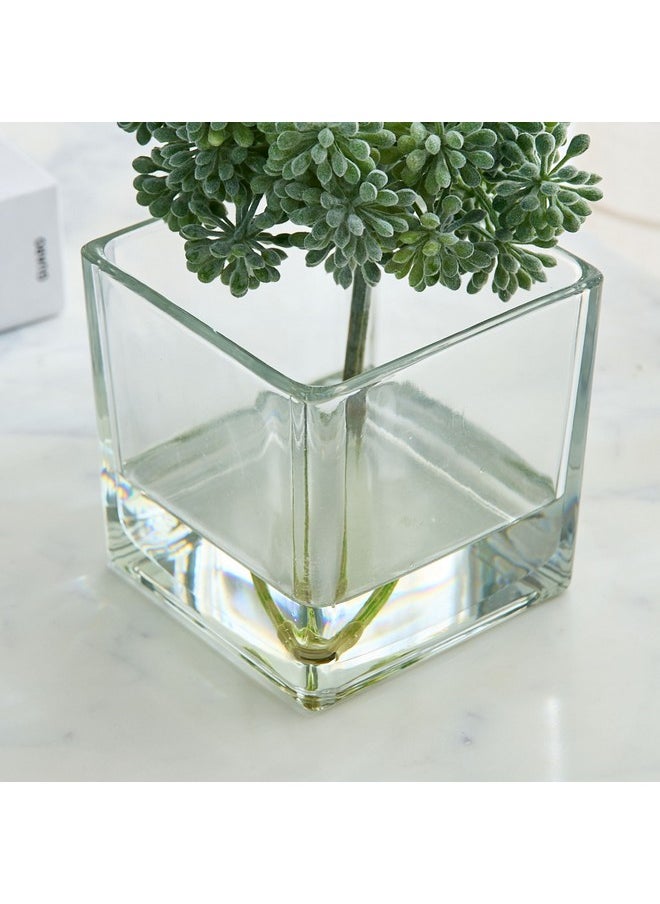 Home Box Liara Sedum Pick In Glass 16 X 16 X 17 Cm  - Image 3