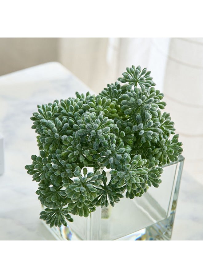 Home Box Liara Sedum Pick In Glass 16 X 16 X 17 Cm  - Image 2