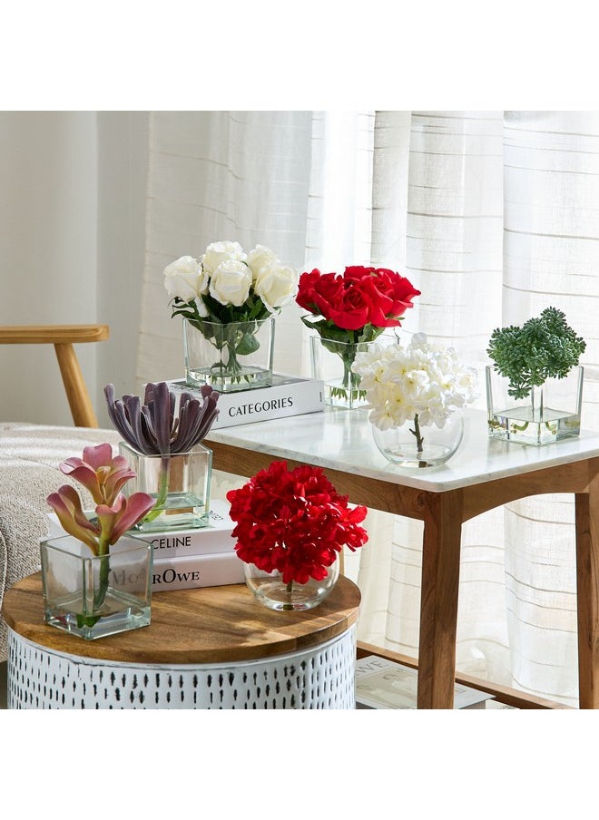 Home Box Liara Sedum Pick In Glass 16 X 16 X 17 Cm  - Image 4