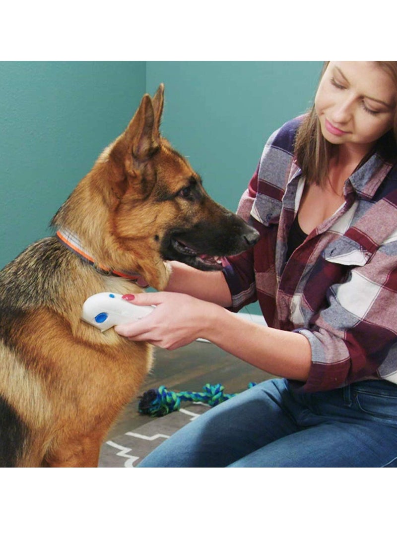 سيوسي مشط البراغيث للحيوانات الأليفة، أدوات إزالة مشط تنظيف القمل والعناية بالحيوانات الأليفة للقطط والكلاب، فرشاة تنظيف، مستلزمات مضادة للبراغيث - Image 4