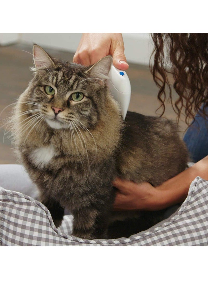 سيوسي مشط البراغيث للحيوانات الأليفة، أدوات إزالة مشط تنظيف القمل والعناية بالحيوانات الأليفة للقطط والكلاب، فرشاة تنظيف، مستلزمات مضادة للبراغيث - Image 5