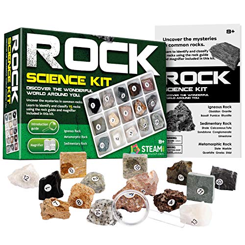 XX Rock  Stone Collection 15 PCS with Collector Box STEM Toy Science Kit Geology Mineral Specimens Gift Presents for Kid Geologists - Image 1