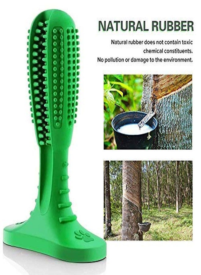 Western Era Dog Toothbrush Stick Dog Chew Tooth Cleaner Puppy Dental Care Brushing Stick Natural Rubber Bite Resistant Chew Toys for Dogs Pet Oral Care (Random) - Image 3