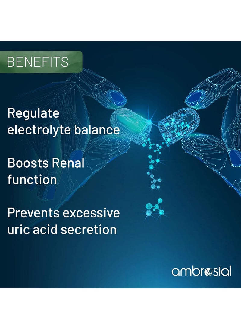 ambrosial Iodine With Potassium Iodide Support Metabolism Food Supplement 60 Tablets- Pack Of 2 - Image 3