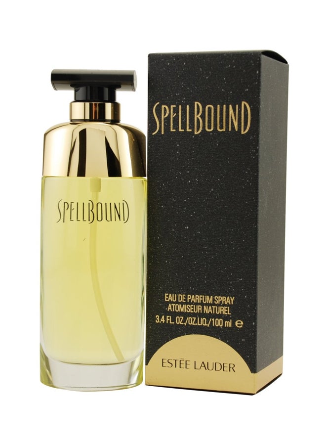 استي لودر سبيلباوند EDP - Image 2